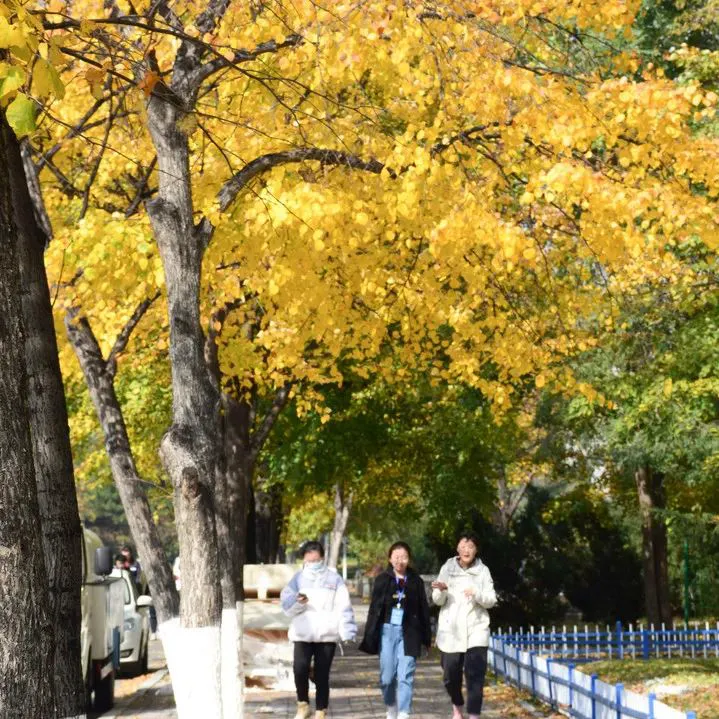 为什么互动训练有助于提高篮球比赛表现_0